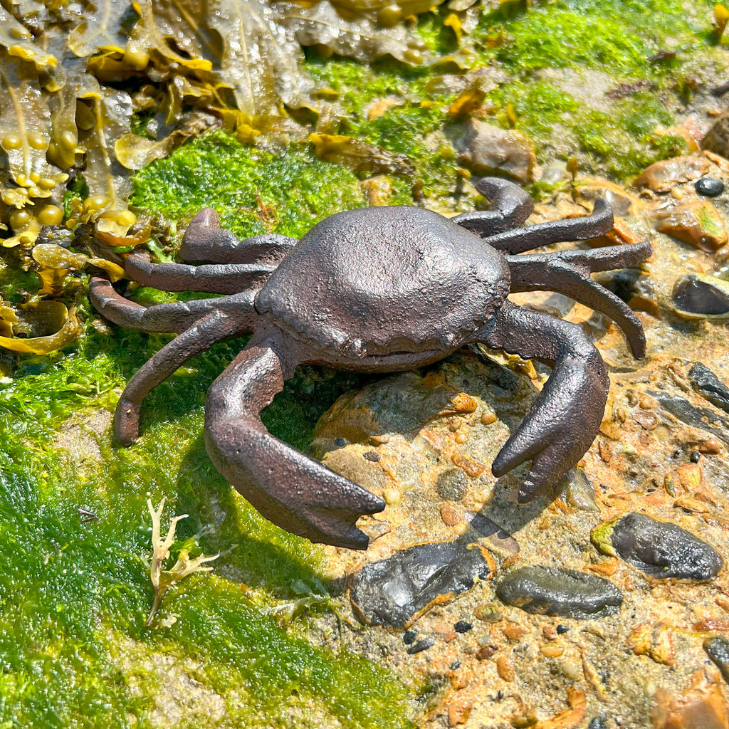 Cast Iron Crab Garden Ornament
