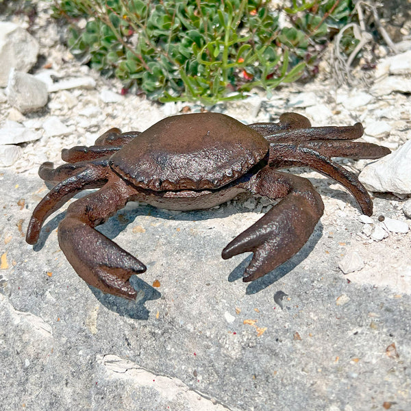 Crab Garden Ornament in Cast Iron