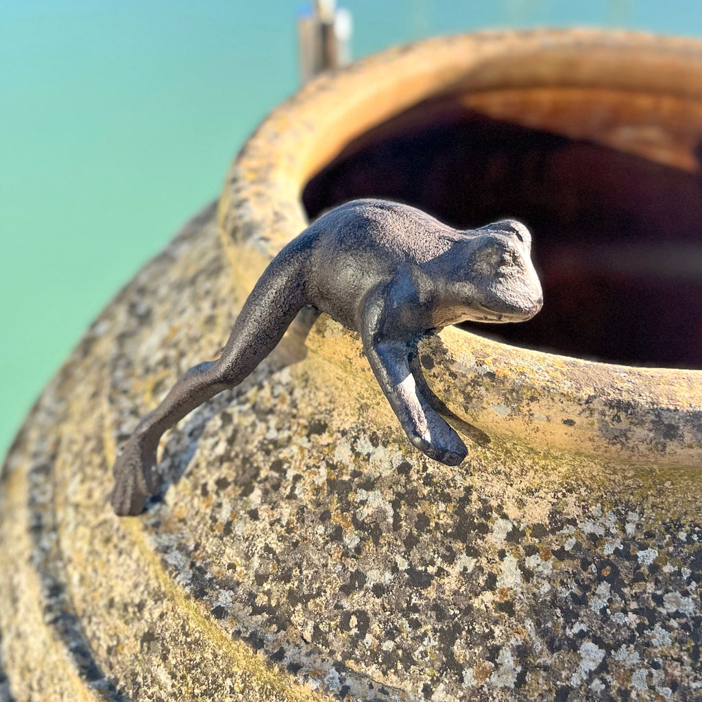 Edge Hanging Frog Cast Iron Animal Garden Ornament