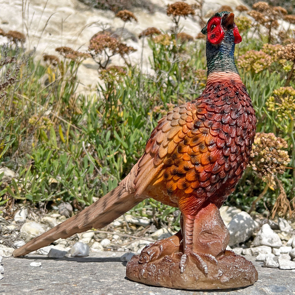 Pheasant Bird Garden Animal Ornament Outdoor Statue