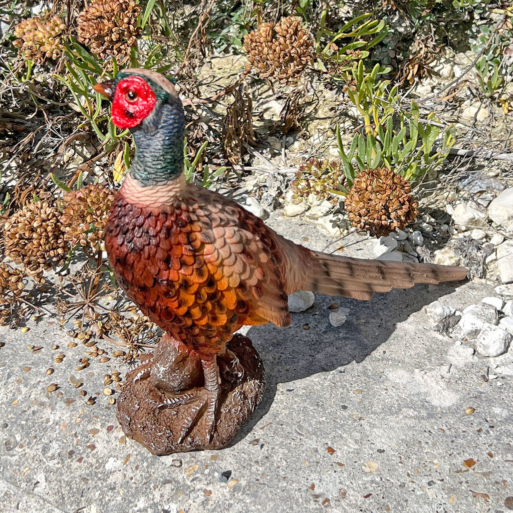 Pheasant Bird Garden Animal Ornament Outdoor Statue
