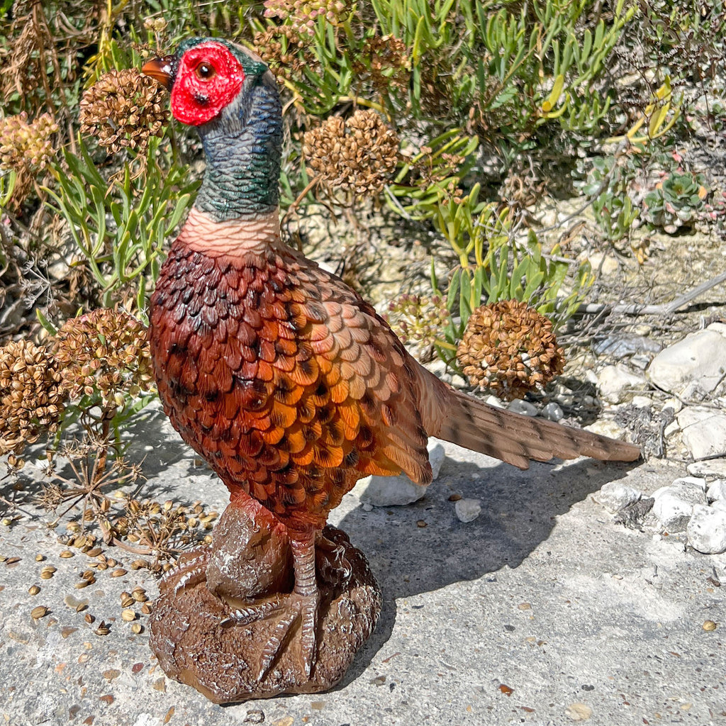 Pheasant Bird Garden Animal Ornament Outdoor Statue