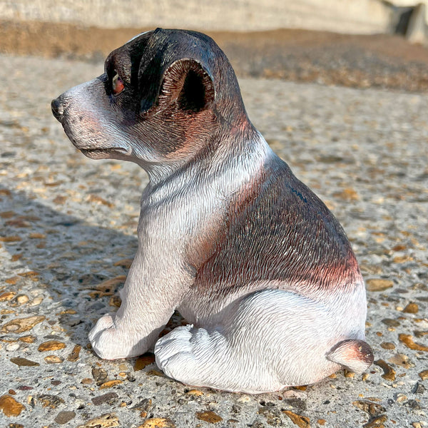 Sitting Jack Russell Puppy