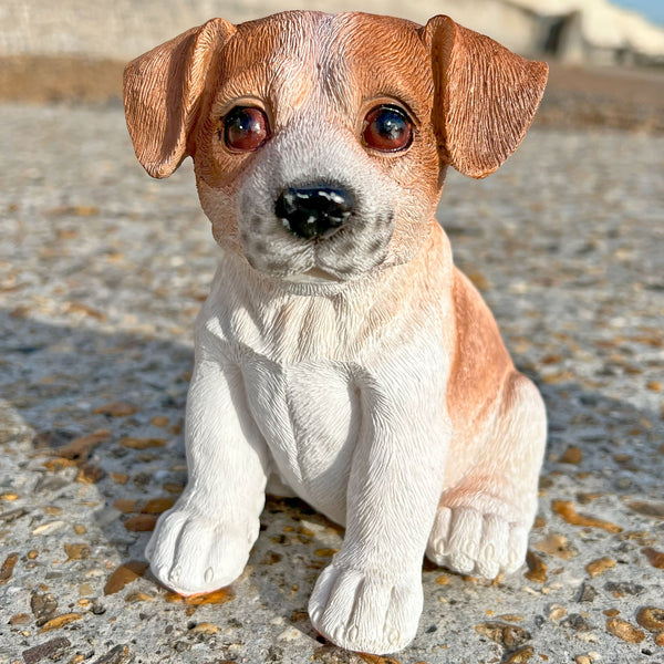 Sitting Jack Russell Terrier Puppy Dog Garden Animal Ornament