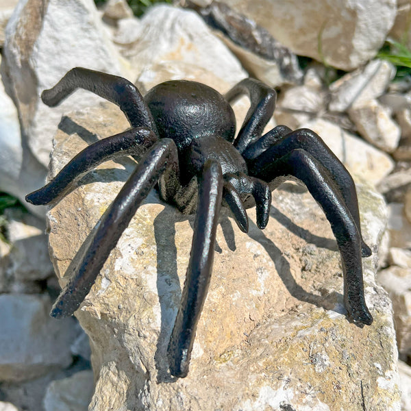 Spider Garden Ornament