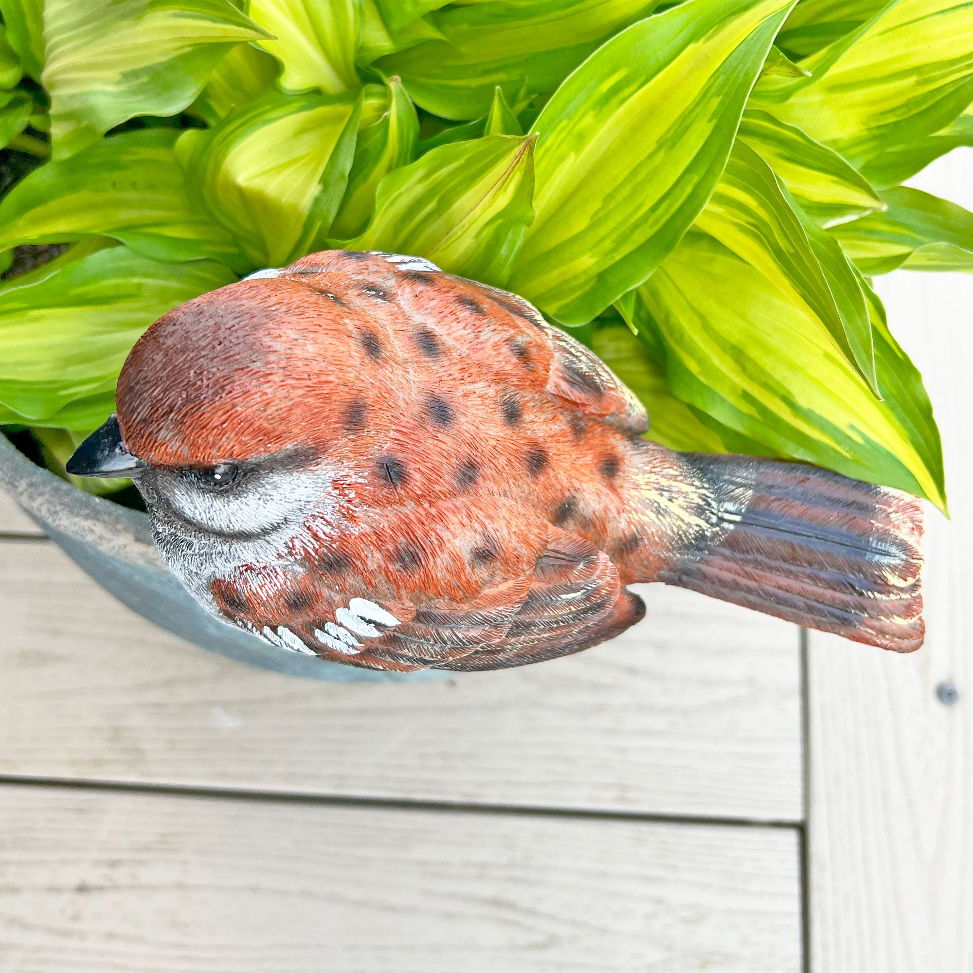Large Sparrow Bird Garden Ornament