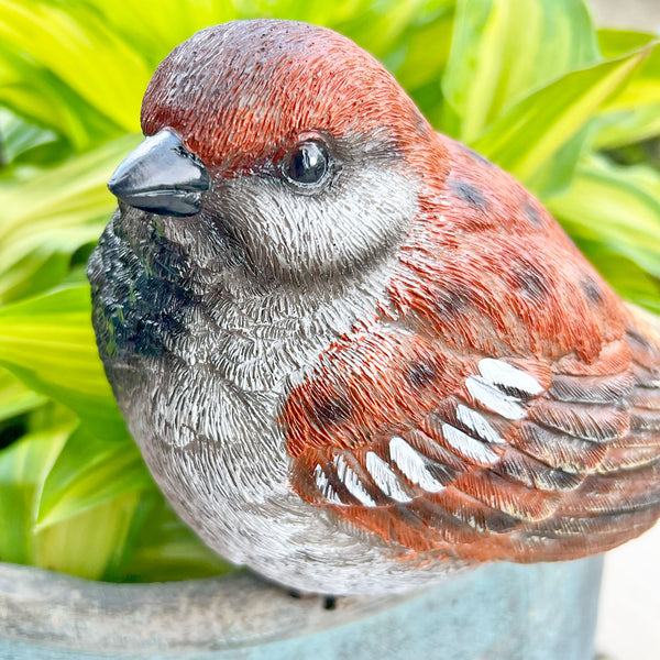 Large Sparrow Bird Garden Ornament