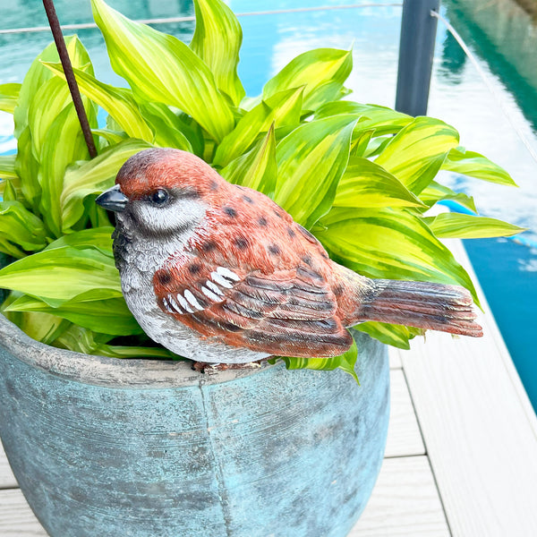 Large Sparrow Bird Garden Ornament