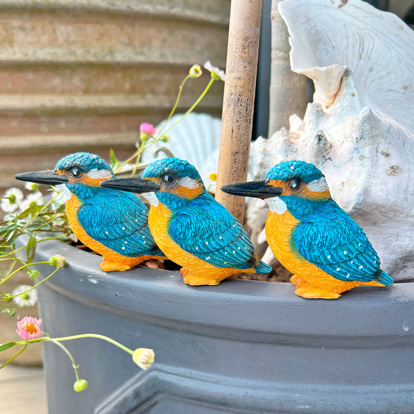 Kingfisher Bird Ornaments