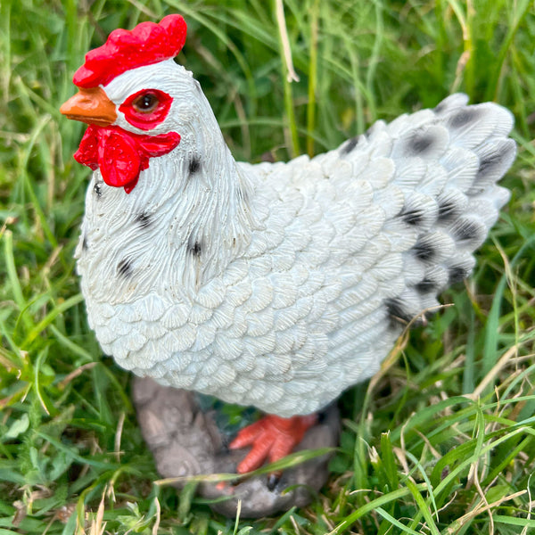 White Garden Chicken