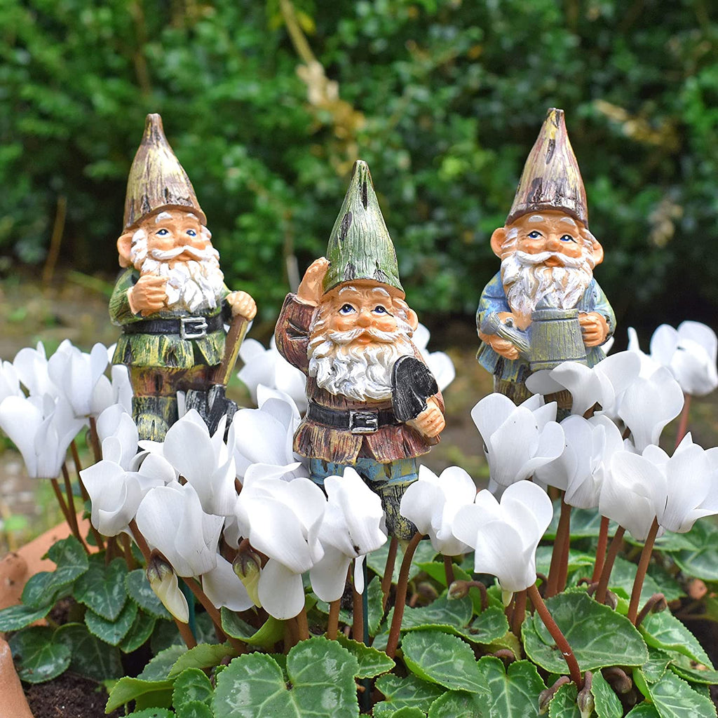 Garden Gnomes for Pots
