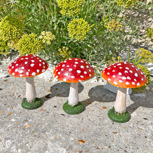 Garden Mushrooms