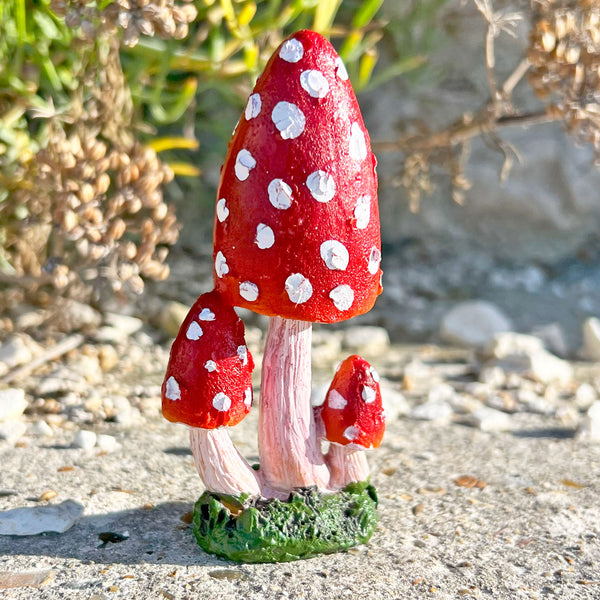 Garden Mushroom