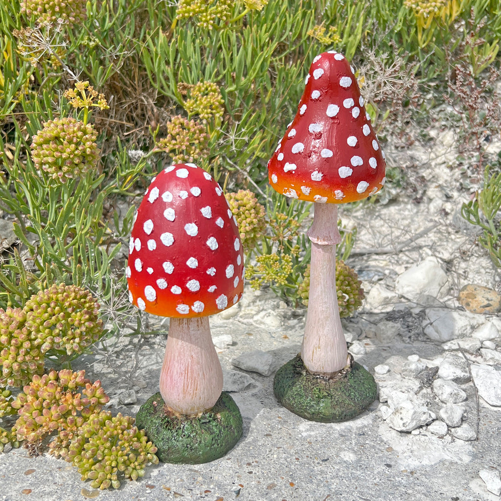 Two decorative mushrooms with red caps and white spots on a natural background