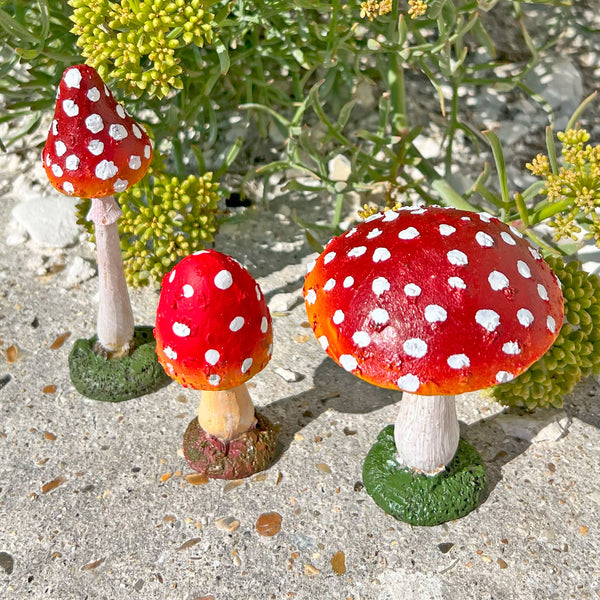 Garden Mushrooms