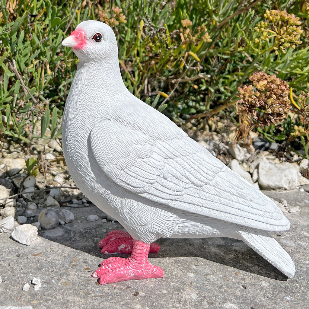 A realistic white garden pigeon statue with pink beak and feet, standing on a stone surface outdoors with plants in the background.