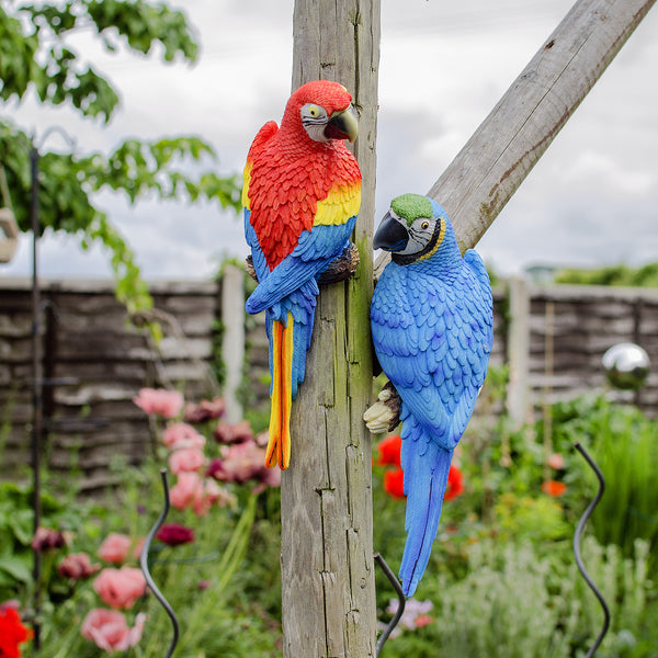 Garden Parrot Bird Ornaments