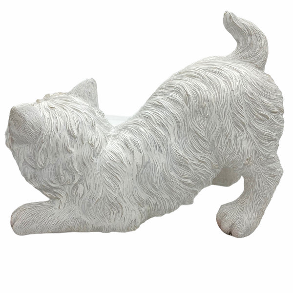 West Highland Terrier