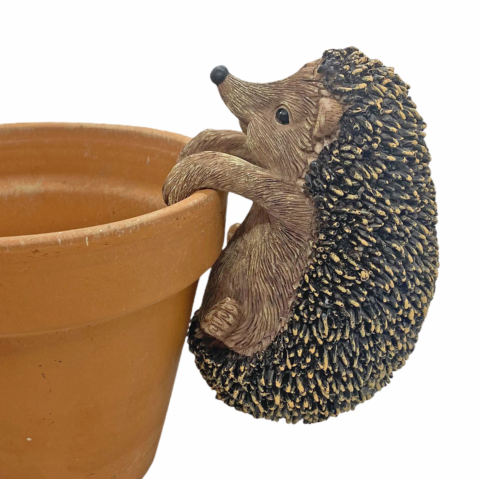 Pot Hugging Hedgehog