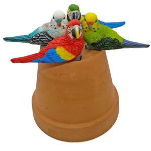 4 Pot Topping Tropical Birds Garden Ornaments