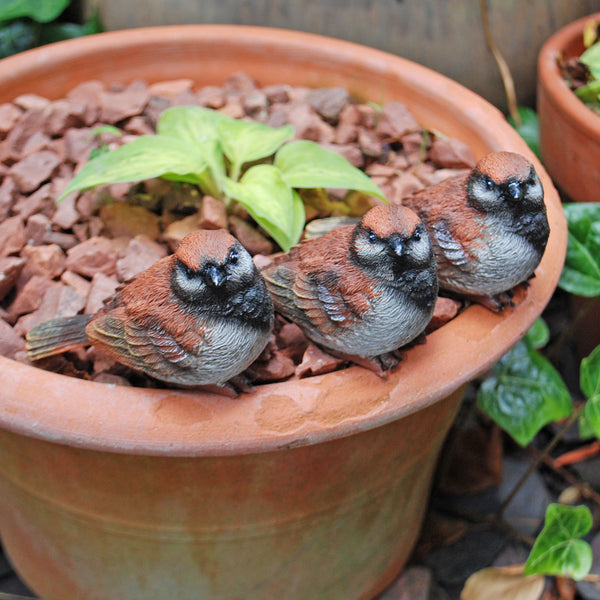 Set of 3 Pot Topping Sparrow Bird Garden Ornaments