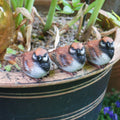 Sparrow Garden Bird Ornaments