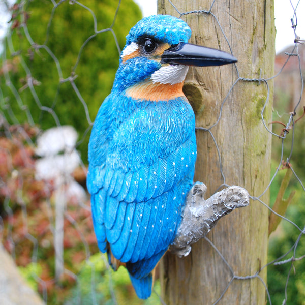 Wall Mountable Kingfisher Bird Garden Ornament