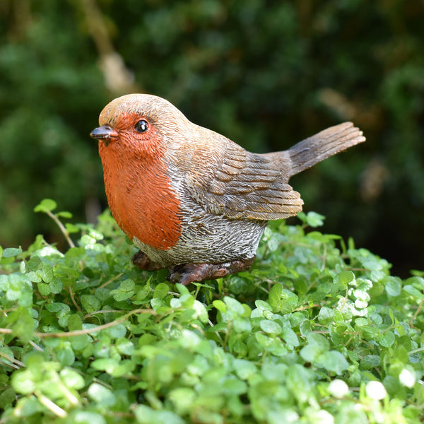 Robin Bird Garden Ornament