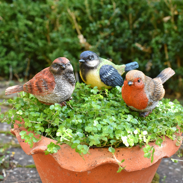 Garden Birds on Sticks Ornaments