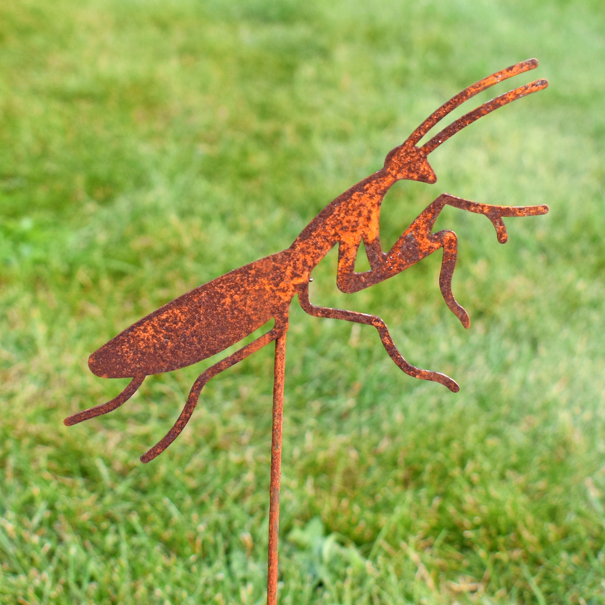 5 Insect Garden Stake Ornaments