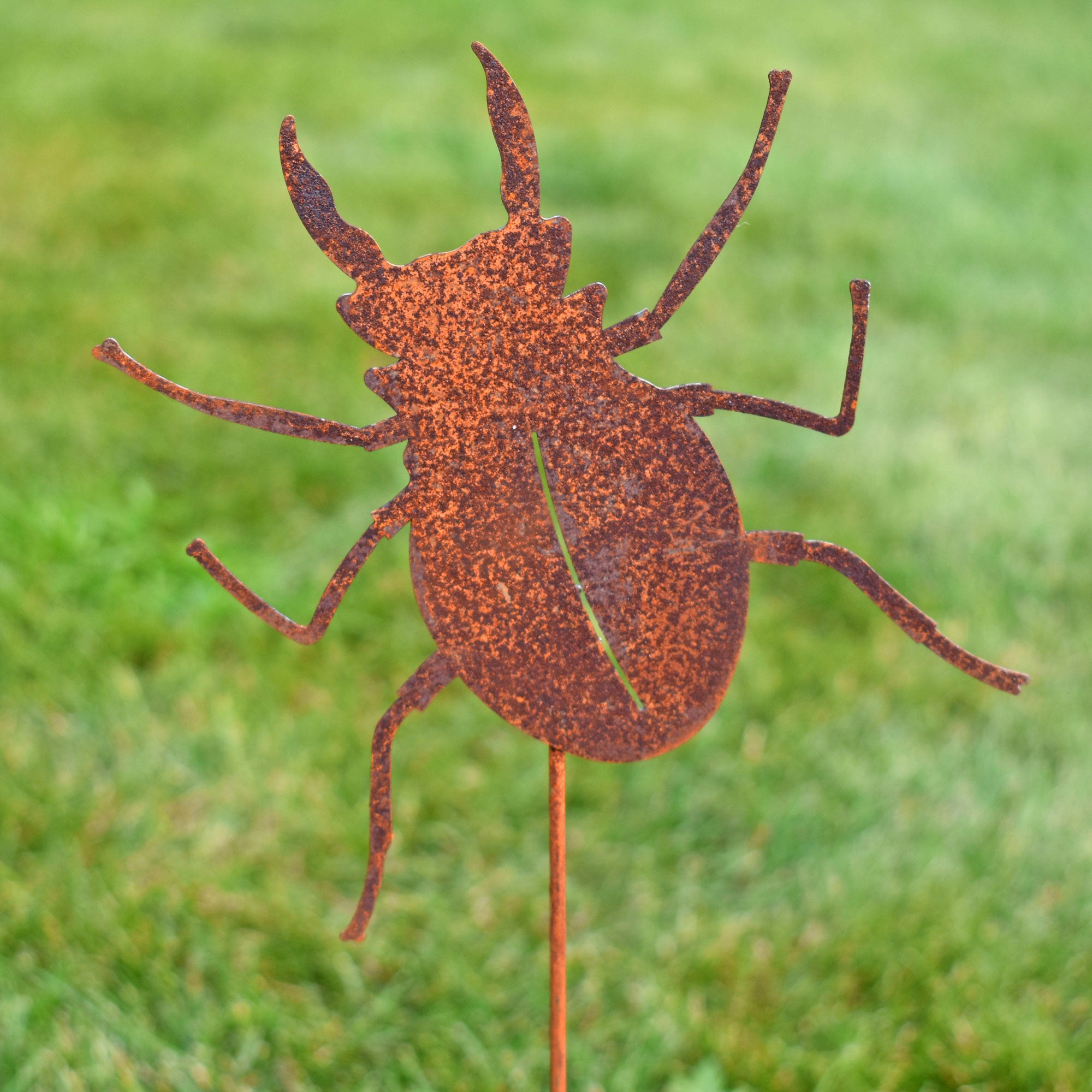 5 Insect Garden Stake Ornaments