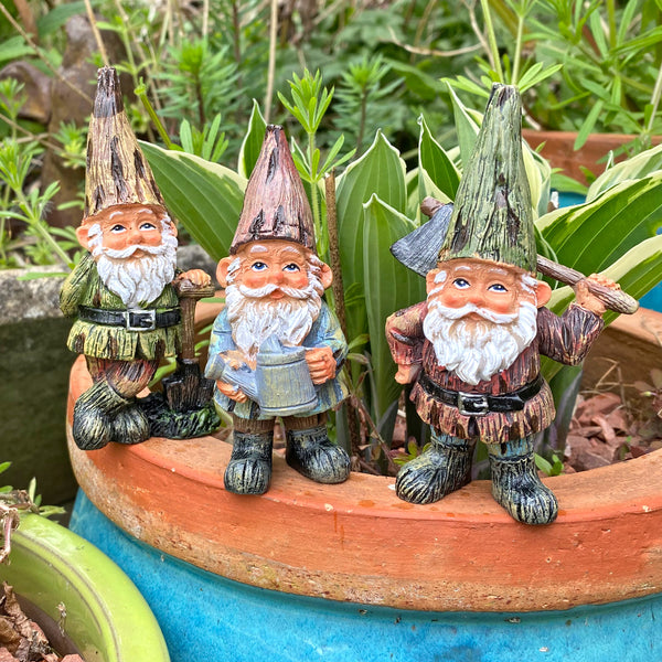 Traditional Design Garden Gnomes