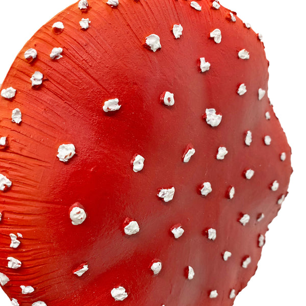 Red Cap Mushroom