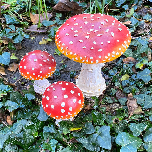 Garden Toadstool Ornaments